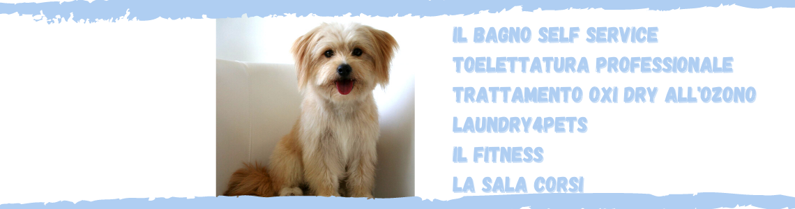 Wash Dog Curno