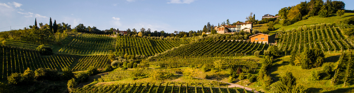 Azienda Agricola Il Cipresso
