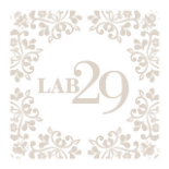 Lab 29