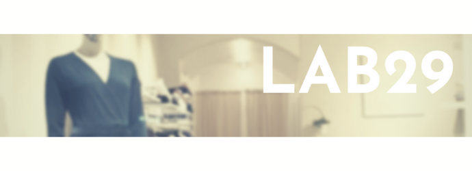 Lab 29