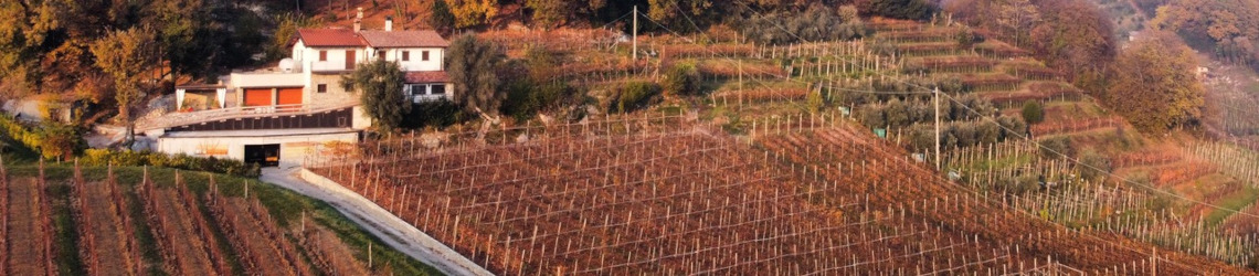 Azienda Agricola De Toma