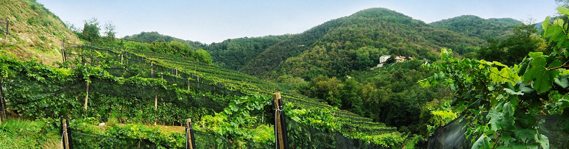 Bonaldi Cascina del Bosco