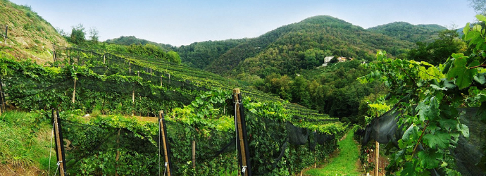 Bonaldi Cascina del Bosco